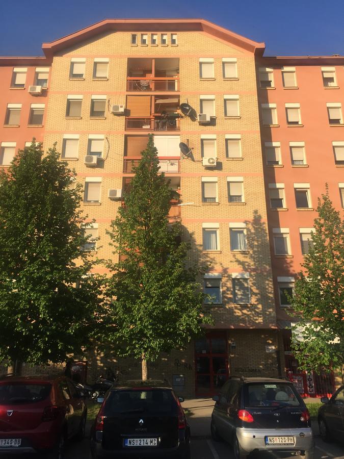 Apartman Arte Novi Sad Exteriör bild